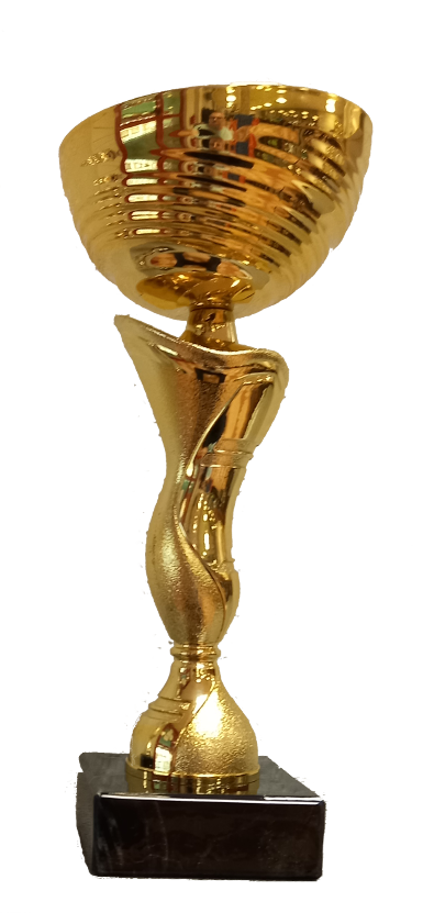 Pokal